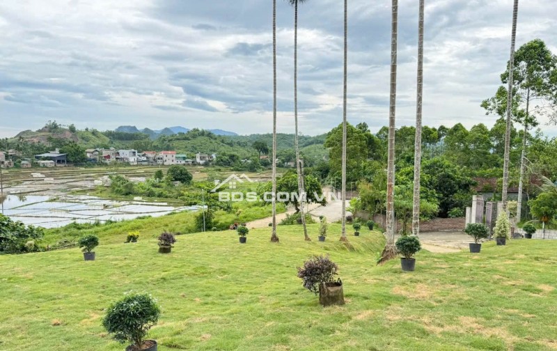 CẦN BÁN LÔ ĐẤT NGHỈ DƯỠNG 1961M VIEW CÁNH ĐỒNG GIÁ ĐẦU TƯ